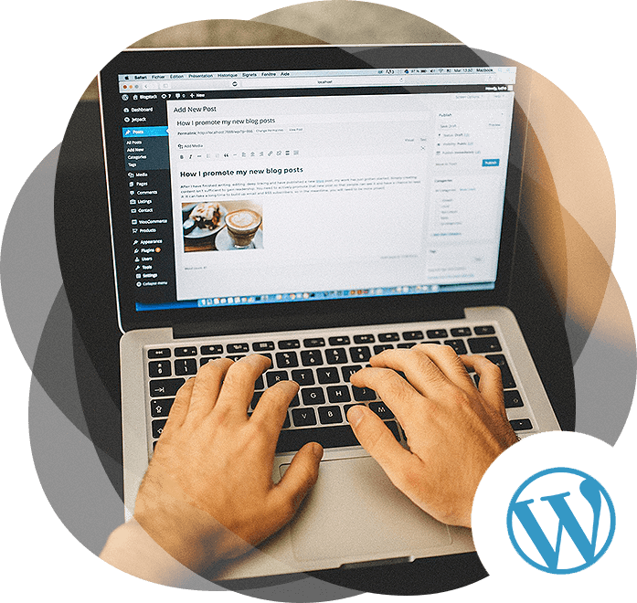 wordpress development